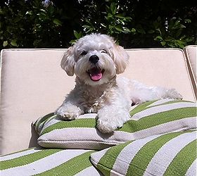 outdoor earth friendly transformation from www mysoulfulhome com, outdoor furniture, outdoor living, painted furniture, Enjoying the After