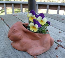 pics from my yard, gardening, outdoor living, Sweet bunny