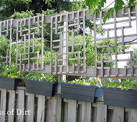 privacy screen ideas and how to make a fence taller, fences, outdoor living, You can make a fence taller Here the fence posts were extended and lattice was added Vines will eventually fill it in