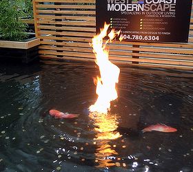 hits and misses at the bc home and garden show, flowers, gardening, landscape, succulents