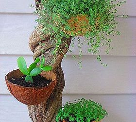 vine planter, gardening, Vine Planter