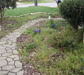 front yard makeover, gardening, landscape, This is the old concrete path from the other direction coming from the back yard to the front before