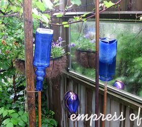 little city garden before and afters, flowers, gardening, perennials, ponds water features, raised garden beds, urban living, Year 3 Impatient for the blue delphiniums to bloom I made my own with bottles