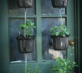 tips for container gardening, container gardening, gardening, Tips for container gardening