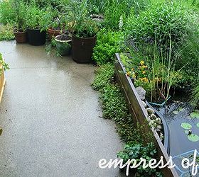 little city garden before and afters, flowers, gardening, perennials, ponds water features, raised garden beds, urban living, year 3 I put a little pond in a raised bed right by the front door The soil there was very poor so this was a good alternative