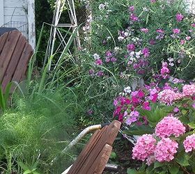 gardening in repurposed planters, gardening, repurposing upcycling, The herb garden at the end of summer