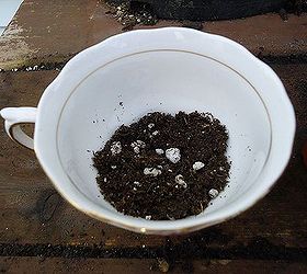 great idea for mothers day gift kids love making these, gardening, Use just a tiny bit of soil in bottom of cup