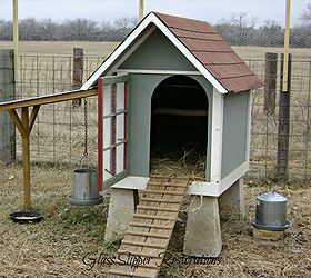 repurposed doghouse into a chicken coop, homesteading, repurposing upcycling, He built them a ladder for easier access