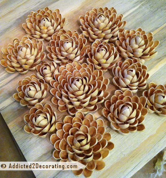 Faux Succulent Garden Made With Pistachio Shells Crafts Flowers Succulents The Faux Succulent Garden Made With Pistachio Shells Crafts Flowers Succulents The