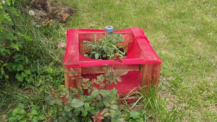 raised garden container for under 3 dollars, container gardening, gardening, raised garden beds