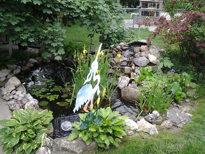 gardenpond, gardening, ponds water features