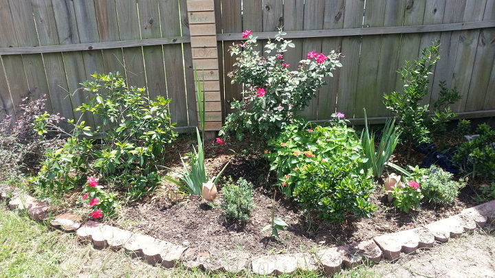 q what could i do to make my frontyard garden pop, gardening, outdoor living, Corner garden in by backyard