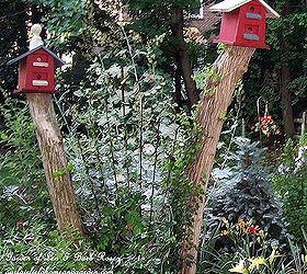 leave tree stumps for your birdhouses, gardening, Leave tree stumps high rather than removing them to use as sturdy stands for birdhouses in your garden Train a vine in between them or
