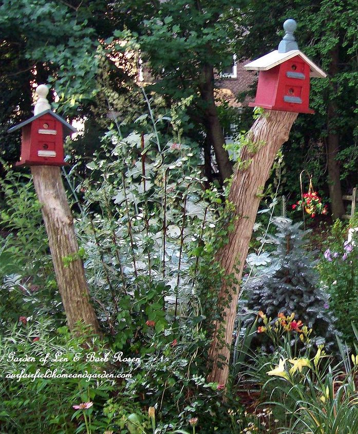 leave tree stumps for your birdhouses, gardening, Leave tree stumps high rather than removing them to use as sturdy stands for birdhouses in your garden Train a vine in between them or