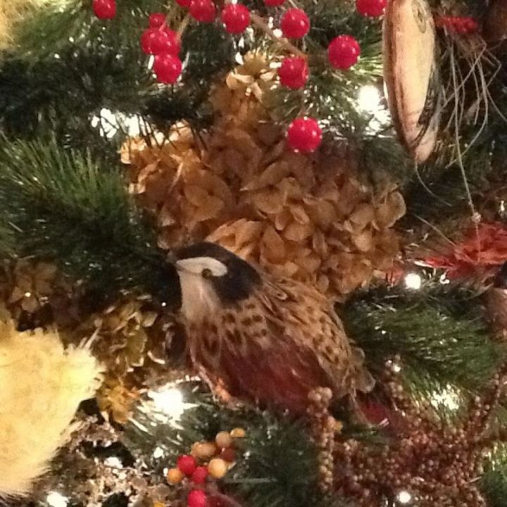 this tree is for the birds, seasonal holiday d cor