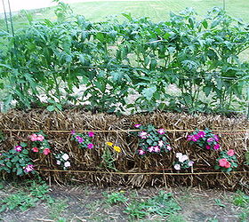 straw bale gardening great in all climates from the arctic to the caribbean islands, Planting annuals in the sides also makes the garden look attractive as well as productive