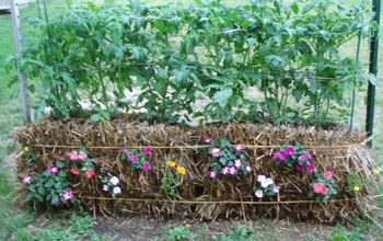 Straw Bale Gardening, great in all climates from the Arctic to the Caribbean islands!