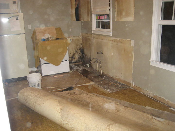 kitchen remodeling, Discovered hidden mold