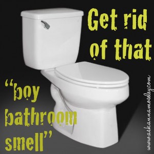 getting rid of that boy bathroom smell, bathroom ideas, cleaning tips