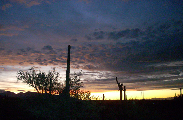homesite 110 ranch house desert sonoran elevation, Only in Tucson Arizona
