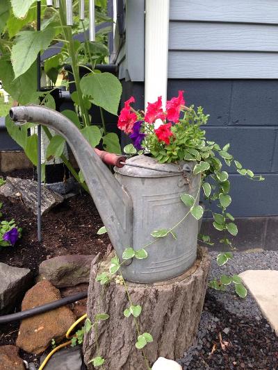 vintage watering cans in the garden, gardening, repurposing upcycling, Sherry McGinnis s former oil can