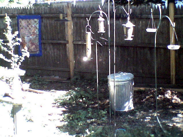 back yard works in progress photos aren t the best cheap new camera, outdoor living, Dining area for my feathered visitor I have 2 special feeders just for squirrels I will try and get a better pc of the bird bath soon
