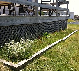 landscaping near the ocean, gardening, landscape, I m thinking of clearing out the area below the deck and putting in clumps of beach grass surrounded by crushed clam shells or white pebbles Simple and survivable