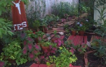 my hodge podge garden with scrap wood walk.....Home depot throw these pieces away. I used them as a walk