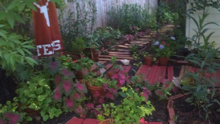 my hodge podge garden with scrap wood walk home depot throw these pieces away i, gardening, repurposing upcycling