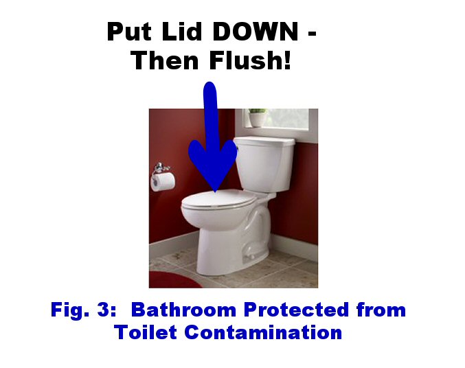 an easy way to stop toilets from contaminating bathrooms with infectious bacteria, bathroom ideas, cleaning tips