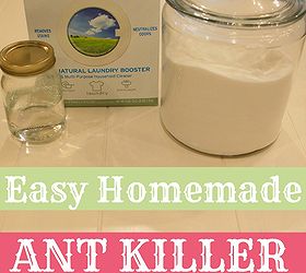 The Best Homemade Ant Killer