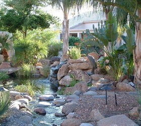 our work, flowers, gardening, outdoor living, pets animals, ponds water features, Oasis in the desert