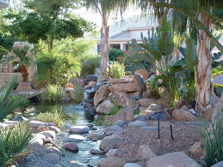 our work, flowers, gardening, outdoor living, pets animals, ponds water features, Oasis in the desert