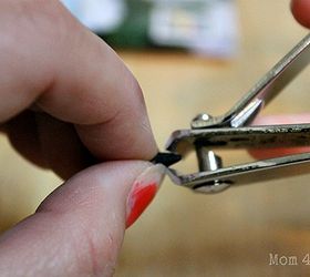 how to start seeds in just 3 days, gardening, Clip your seeds a little with nail clippers