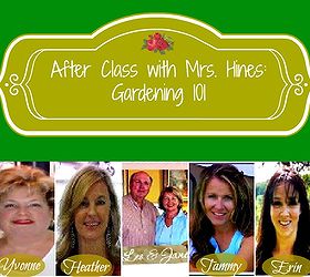 do you wish you had a green thumb, flowers, gardening, My fabulous co hosts are here to take the guess work out of starting your own garden