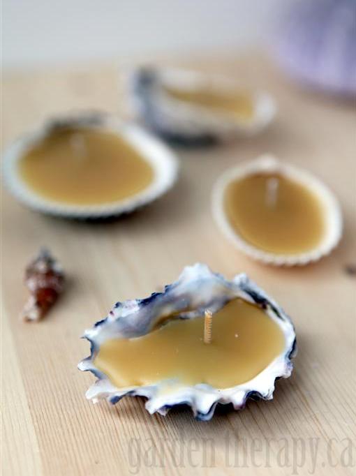 seashell beeswax tea lights, crafts