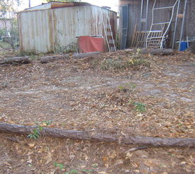 the slope on my back 40 needs developing, gardening, Slope beginning behind the storage room