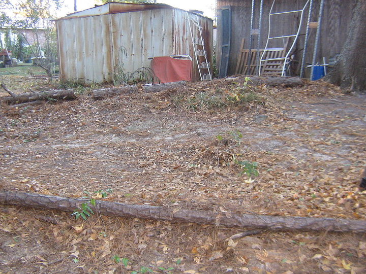 the slope on my back 40 needs developing, gardening, Slope beginning behind the storage room