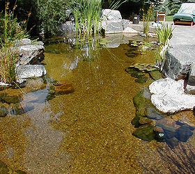 water gardening ponds water features waterfalls koi ponds outdoor lifestyle, outdoor living, ponds water features, Before this pond was planted