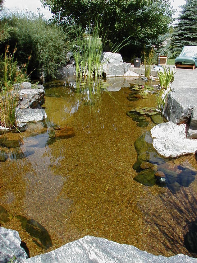 water gardening ponds water features waterfalls koi ponds outdoor lifestyle, outdoor living, ponds water features, Before this pond was planted
