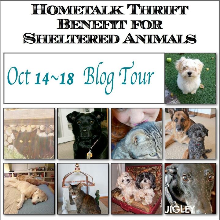 blessing of the animals keepsake hometalk shelter benefit tour, crafts, pets animals