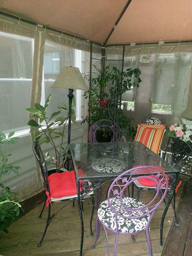 store bought gazebo turned plant sanctuary, gardening, outdoor living