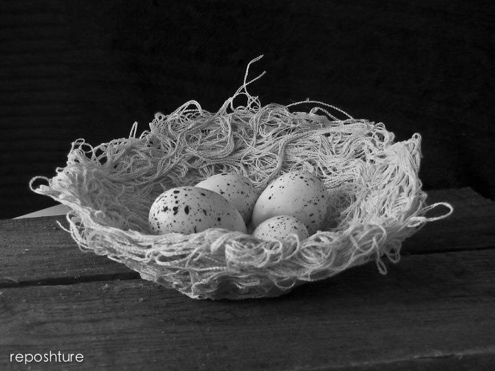 nido de pajaros de tela caida, s lo porque me encanta la fotograf a en blanco y negro