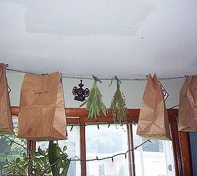 permanent place for my herbs, gardening, Trying it in a bag and out of the bag we ll see which works best