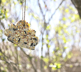 make a cookie cutter bird feeder in 8 simple steps, crafts, outdoor living, pets animals