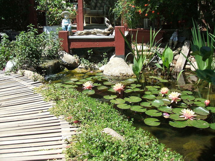 our work, flowers, gardening, outdoor living, pets animals, ponds water features, Tiny works too