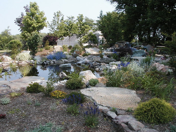 more rocks more rocks thats what the customer said, landscape, outdoor living, ponds water features