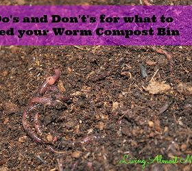 what to put in your worm compost bin, composting, gardening, go green