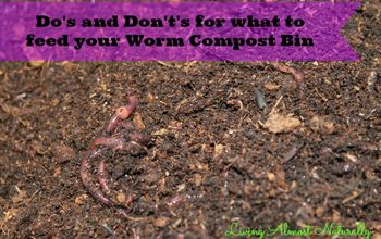 What to Put in Your Worm Compost Bin