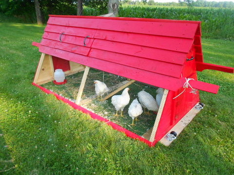 rouge chicken coop, homesteading, outdoor living, pets animals, The new color is Rustoleum oil based paint I love that stuff
